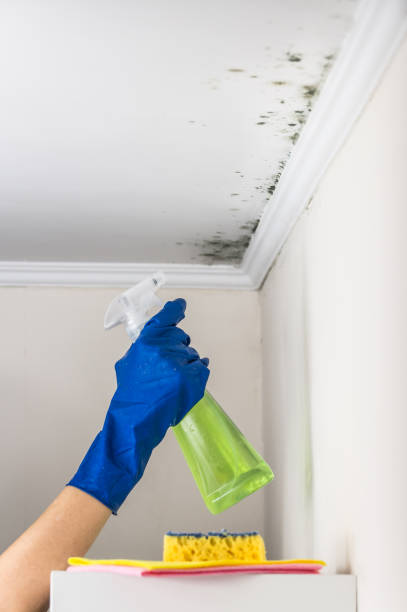 Best Commercial Mold Inspection  in Deschutes River Woods, OR